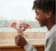 Интерактивная игрушка Spin Master Wizarding World Harry Potter Interactive Dobby Гарри Поттер Эльф Добби, 22см - изображение 5