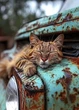 Фото листівка Cardsforsoul Сієста на залізі 10,5 Х 14,8 см - изображение 1
