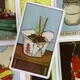 Карти Таро Реального життя The Real Life Tarot 78 карт - зображення 7