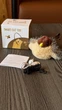 Интерактивная игрушка-воробушек "Flapping Cat Bird Toys" для кошек - изображение 4