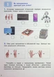 Інформатика. 2 клас. Робочий зошит - Лілія Козак - изображение 2
