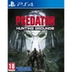 Gra PS4 Predator: Hunting Grounds (płyta Blu-ray) (711719360902) - obraz 1