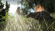 Gra Nintendo Switch Ark: Survival Evolved (Klucz elektroniczny) (884095198428) - obraz 5