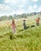 Подростковые штаны-карго для девочки Coccodrillo Dream Diaries Girl Junior WC5119101DGJ-007 140 см Розовые (5904986532911) - изображение 10