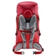 Дитячий туристичний рюкзак Deuter Fox 40 masala-cherry (36112225597) - зображення 2