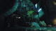 Gra Nintendo Switch Risen (Kartridż) (9120080079077) - obraz 6