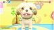 Gra Nintendo Switch Pups i Purrs Animal Hospital (Kartridż) (5056280435419) - obraz 3