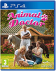 Gra PlayStation 4 Animal Doctor (Blu-ray płyta) (9120083340341) - obraz 1