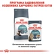 Сухой корм Royal Canin Hairball Care для кошек для вывода шерсти из желудка 2 кг (3182550721400) - изображение 3