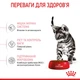 Корм сухий Royal Canin Kitten Sterilised для стерилізованих кошенят 400 г (3182550805155) - зображення 3