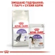 Корм сухий Royal Canin Sterilised для стерилізованих котів 2 кг (3182550737593) - изображение 3