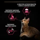 Корм сухий Purina Pro Plan Sterilised Savoury Duo для стерилізованих котів з тріскою та форелью 1.5 кг (7613036732413) - изображение 4
