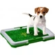 Туалет для собак і кішок Puppy Potty Pad - зображення 1