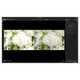 ПО для мультимедиа Corel AfterShot Pro 3 ML EN/DE Windows/Mac/Linux (ESDASP3MLPC) - изображение 2