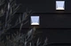 Підсвічування LED фасадне IP54 AL-284/6 H Brille 34-302 - зображення 8