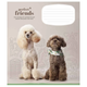 Тетрадь ученическая Perfect friends Школярик 012-3250K 12 л. (482000647043203250)(SC) shop (482000647043203250) - изображение 3