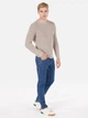 Джемпер мужской Colin's CL1072642BEI M Beige (8684112501765) - изображение 3