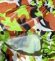 Дождевик для больших собак Камуфляж 8XL Зеленый - изображение 5