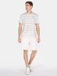 Футболка хлопковая длинная мужская Colin's CL1074707WSD S White Striped с принтом (8684112752259) - изображение 3