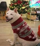 Свитер для больших собак Рождество 7XL Красный - изображение 7