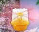 Ловушка для плодовых мух + феромон от вишневой мухи - изображение 2