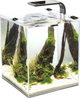 Zestaw akwariowy AquaEl Shrimp Set Smart Day&Night 30 Black (5905546326230) - obraz 1