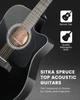 Гитара электро-акустическая 12-тиструнная Fesley FDET280C BK (комплект) - изображение 5