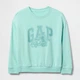 Дитячий світшот для хлопчика GAP 895349948 110 см Бірюзовий (1159836887) - зображення 1