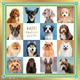 Дизайнерська хустка My Scarf "DOG SHOW" 70 на 70 см - изображение 1