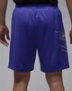 Шорты мужские Jordan Dri-Fit Graphic Shorts M Синій HF9943-543 - изображение 3