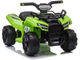 Quad elektryczny dla dzieci Lean Toys JS320 Zielony (5903802455014) - obraz 2