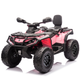 Quad elektryczny dla dzieci Lean Toys Can-Am Outlander 4x4 DK-CA005 Jasnoróżowy (5905991060789) - obraz 8