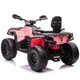 Quad elektryczny dla dzieci Lean Toys Can-Am Outlander 4x4 DK-CA005 Jasnoróżowy (5905991060789) - obraz 12