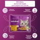 Промо набор Упаковка влажного корма для кошек Whiskas курица, индейка в желе 13 х (4 х 85 г) (4770608263669) - изображение 3