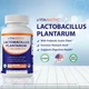 Добавка премиум-класса пищеварительная поддержка Vitamatic Lactobacillus Plantarum 20 Billion 60 капсул - изображение 3