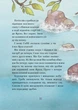 Дивовижний друг. У Долині Вовків - Олівер Шерц, Барбара Шольц (9786175483787) - изображение 12