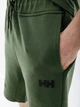 Шорти HELLY HANSEN MOVE SWEAT SHORTS 53710-476 M - изображение 3