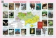 НУШ Я досліджую світ. 3 клас. Атлас (9786170962454) - изображение 7