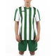 Футболка зелено-белая Joma COPA 100001.450 Joma S - изображение 2