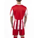 Футболка красно-белая Joma COPA 100001.600 Joma XS - изображение 3