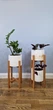 Подставки для вазонов деревянные WoodDecor комплект в натуральном цвете покрытые маслом средняя и низкая - изображение 1