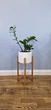 Подставка под вазон из натурального дерева покрытая маслом WoodDecor низкая - изображение 1