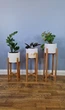 Подставки для цветов и вазонов деревянные WoodDecor комплект в натуральном цвете покрытый лаком - изображение 3