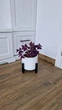 Комплект підставок для вазонів та квітів 2 шт WoodDecor чорного кольору - зображення 6