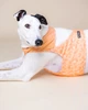 Охлаждающий жилет для собак PAIKKA Cool Vest Peach XXS - изображение 3