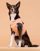 Охлаждающий жилет для собак PAIKKA Cool Vest Peach XXS - изображение 6