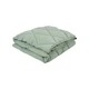 Набор одеяло с подушками Penelope Colors in Comfort green зеленый евро (svt-2000022343459) - изображение 2