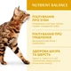 Сухий корм для котів Optimeal курка 700 г (4820215364256) - изображение 3