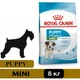 Сухий корм для цуценят дрібних порід Royal Canin MINI PUPPY 8 кг - изображение 1