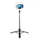 Монопод с кольцевой LED лампой Usams US-ZB241 Portable LED Ring Light With Tripod (Max 1.68m) Black - изображение 1